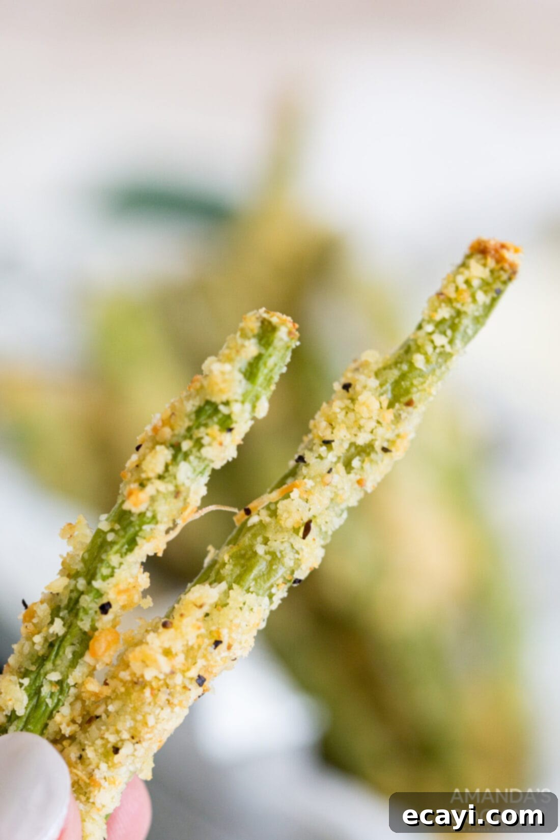 Crispy Air-Fried Green Bean Sticks 9 holding Air Fryer Green Bean Fries