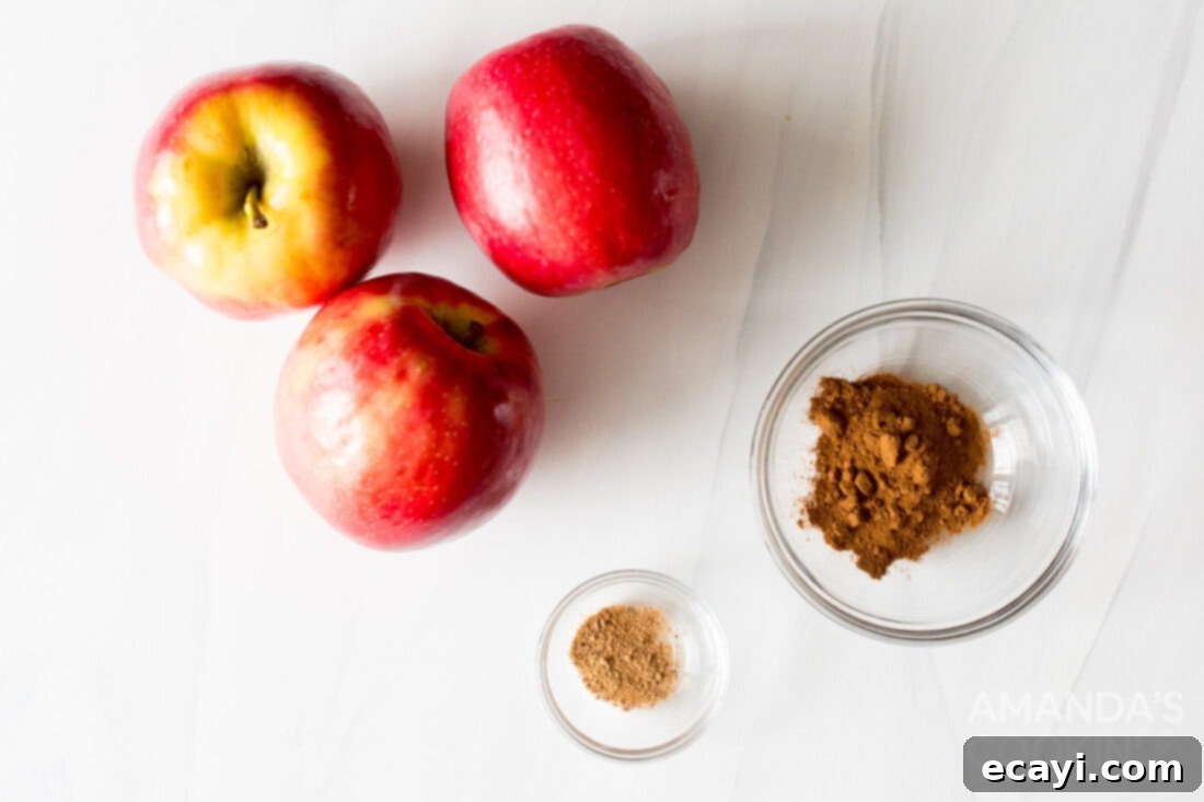 Crispy Air-Fried Apple Slices 4 ingredients for making air fryer apple chips