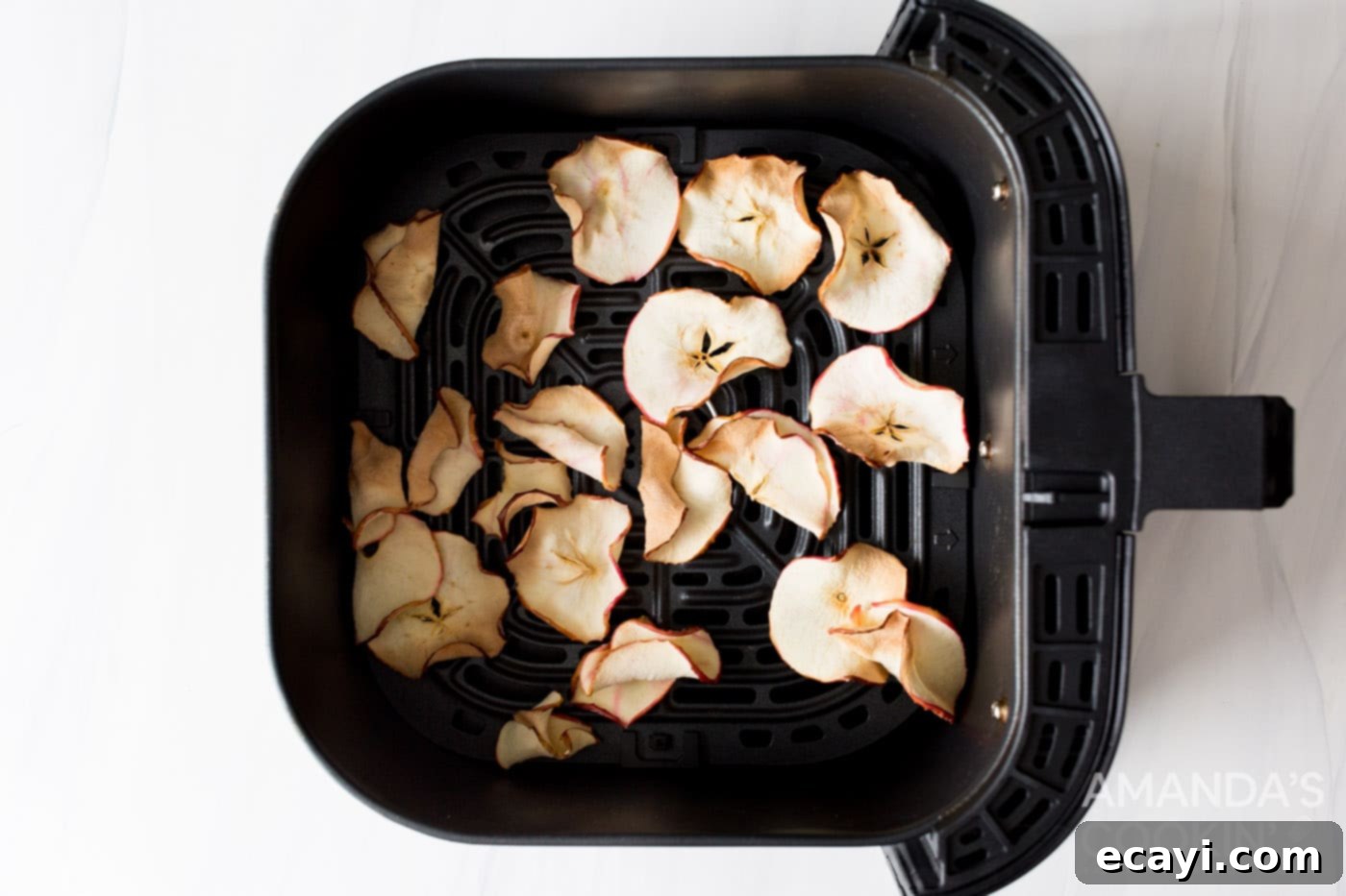 Crispy Air-Fried Apple Slices 8 dehydrated apple chips in an air fryer