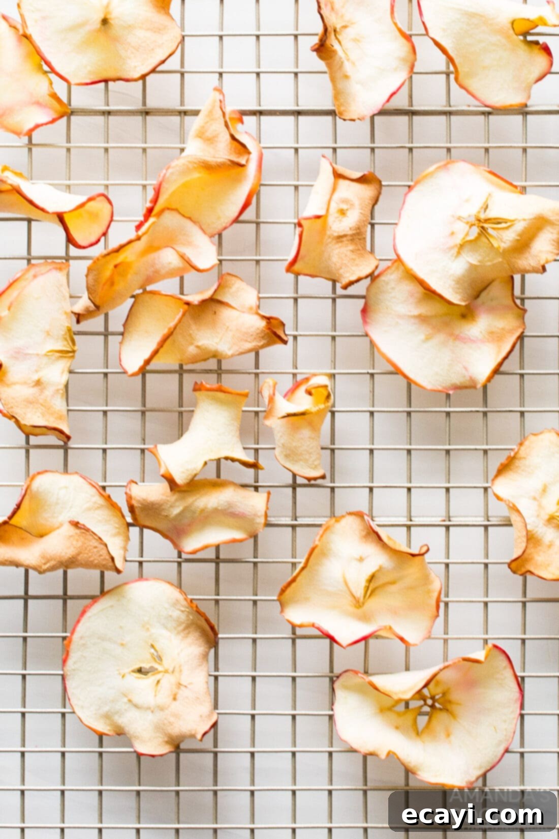 Crispy Air-Fried Apple Slices 9 air fryer apple chips on a wire rack