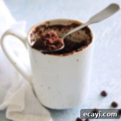 One-Minute Chocolate Cake 15 chocolate mug cake