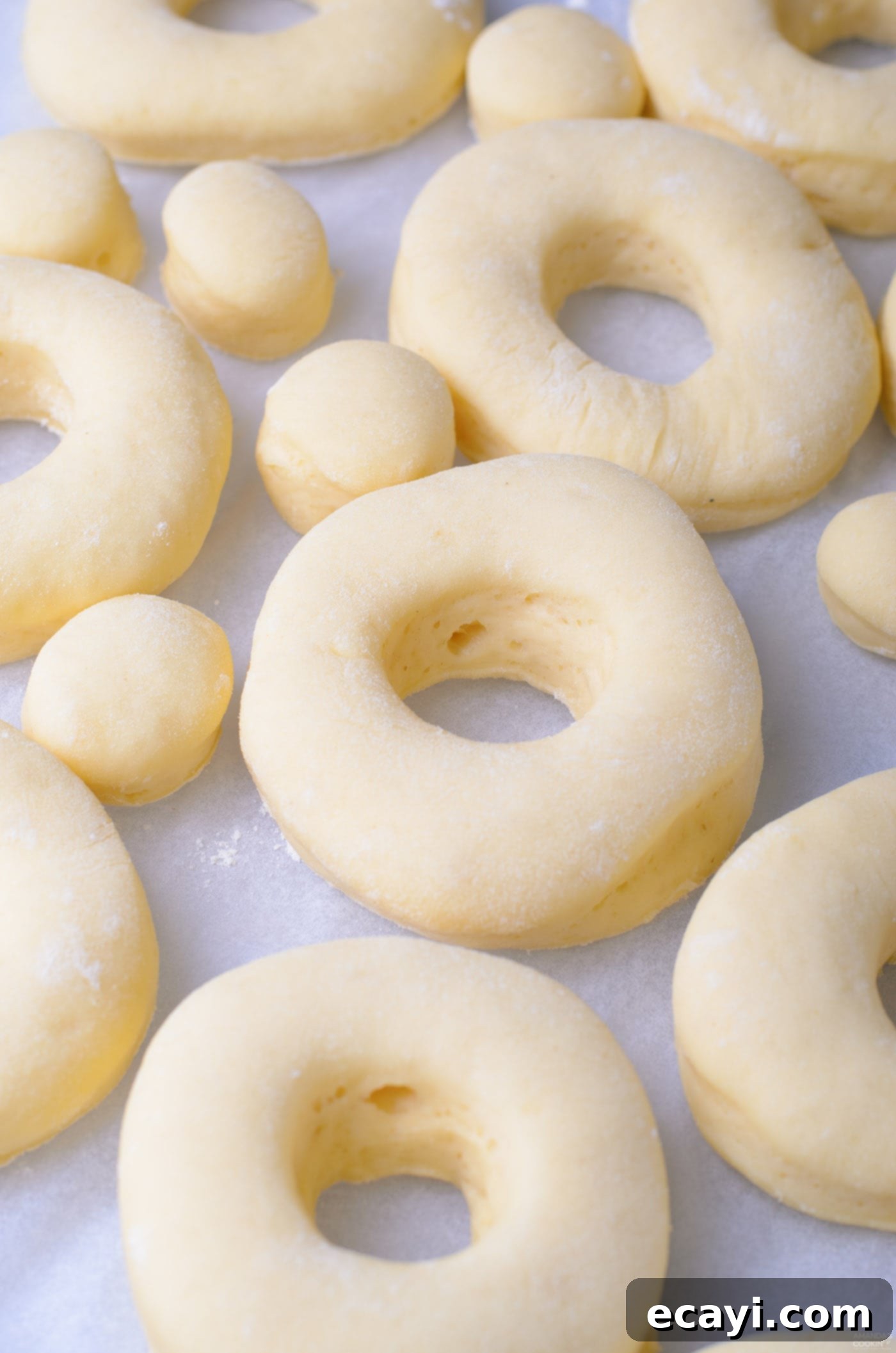 Peanut Butter and Jelly Donut Perfection 10 Cut donut rings and donut holes arranged on a baking sheet for second proofing