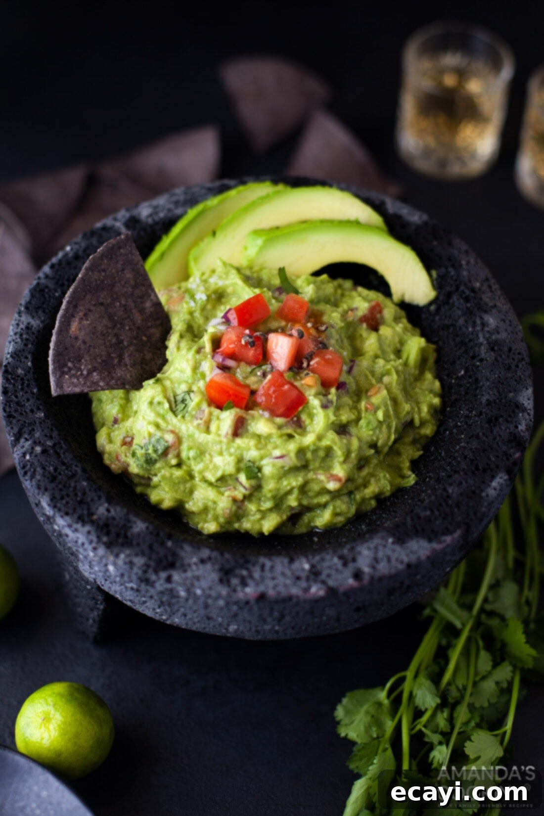 Guacamole 9 guacamole