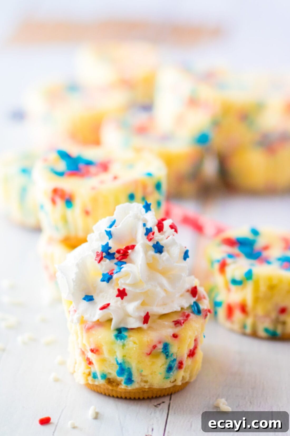 Stars and Stripes Cheesecake Bites 2 Close up of a Patriotic Mini Cheesecake, showcasing its festive sprinkles and creamy texture.