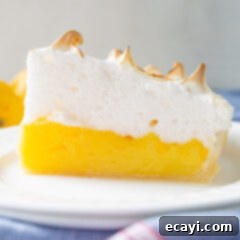 Lemon Meringue Pie 11 A beautifully presented slice of lemon meringue pie with a golden meringue and creamy filling.