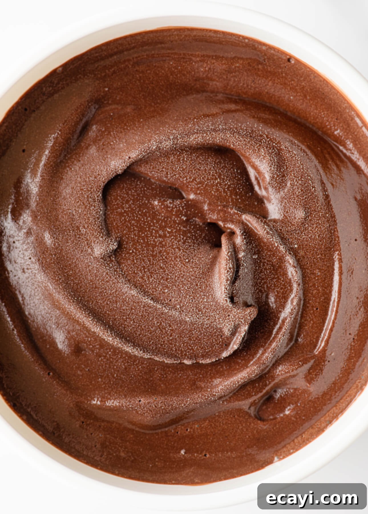 Vegan Friendly Dark Chocolate Gelato 3 Dark Chocolate Gelato // FoodNouveau.com