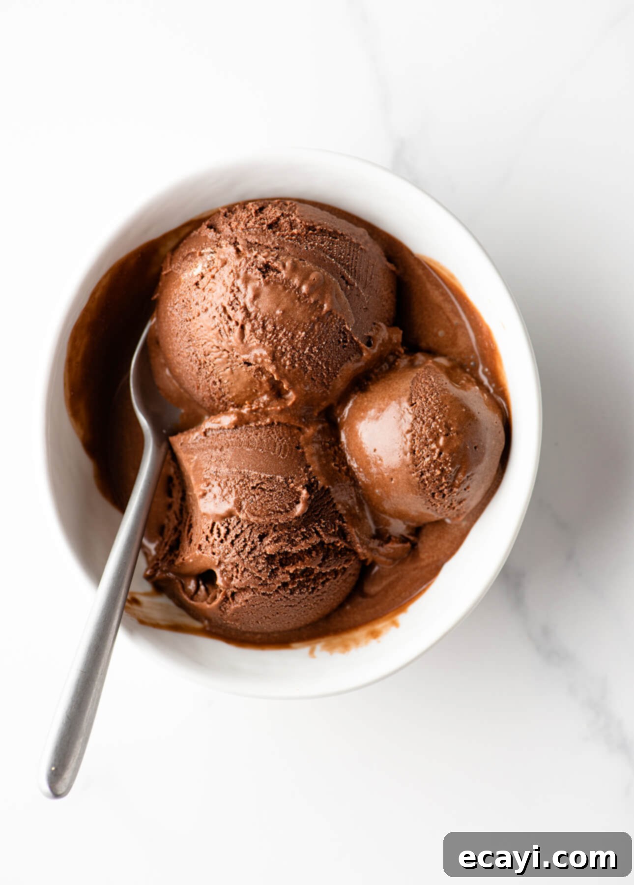 Vegan Friendly Dark Chocolate Gelato 4 Dark Chocolate Gelato // FoodNouveau.com