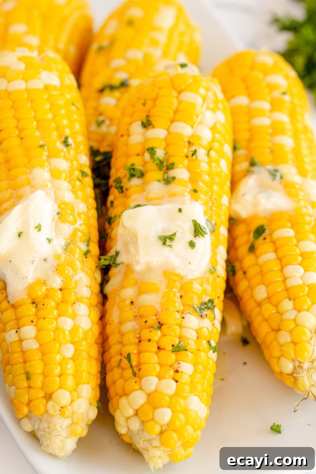 Golden Grilled Corn 2 Grilled Corn on the Cob with butter, seasoned and garnished with fresh parsley