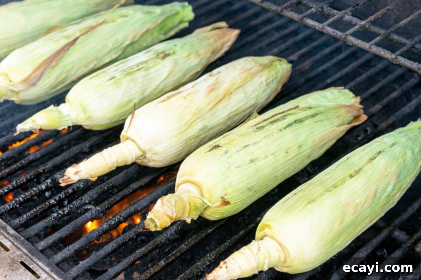 Golden Grilled Corn 8 Corn on the grill, husks on
