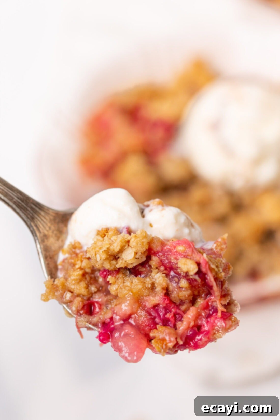 Sweet & Tart Rhubarb Crumble 8 Spoonful of Rhubarb Crisp
