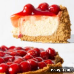 Silky Smooth Instant Pot Cheesecake 14 img 56680 13