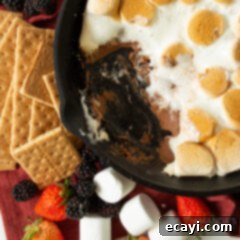 Gooey S'mores Skillet 9 Close-up of a serving of S'mores Dip, highlighting the melted chocolate and toasted marshmallows.