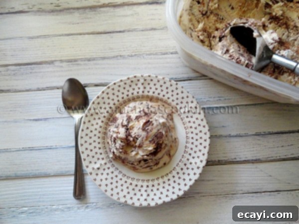 nutella-swirl-cheesecake-ice-cream-5 An overhead photo Nutella swirl cheesecake ice cream on a plate served with a spoon.