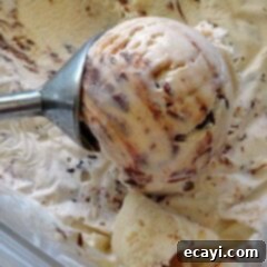 Decadent Nutella Swirl Cheesecake Ice Cream 2 A close up photo of an ice cream scoop scooping Nutella swirl cheesecake ice cream.