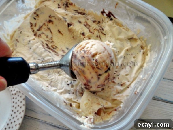 nutella-swirl-cheesecake-ice-cream-1 A close up photo of an ice cream scoop scooping out Nutella swirl cheesecake ice cream.