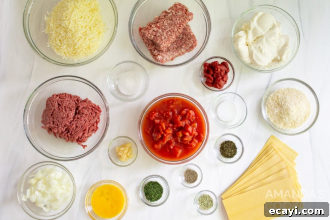 Quick Instant Pot Lasagna 4 Various ingredients laid out for making Instant Pot Lasagna, including ground meat, cheeses, and sauce components.