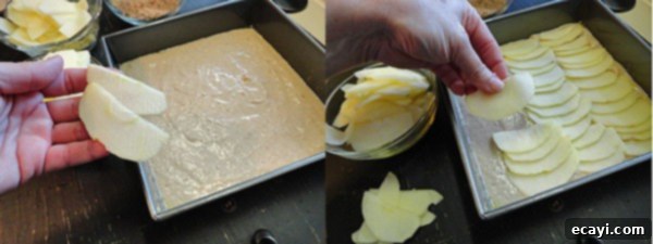 DASC-step-1 Photos of apple slices being placed on top of the batter.