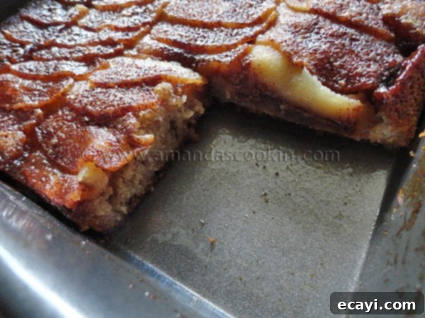 dutch-apple-snack-cake2 A close up photo of a Dutch apple snack cake with a piece missing.