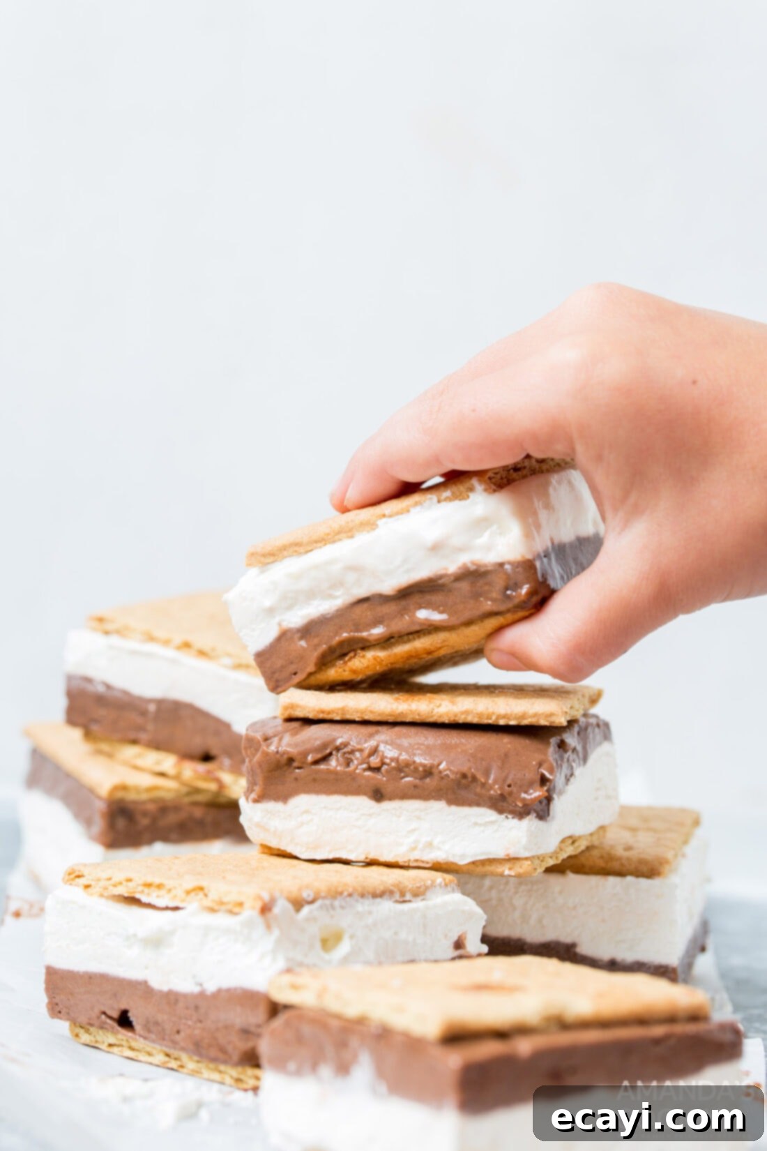 Frosty Smores 11 child taking a frozen smore sandwich