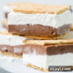 Frosty Smores 12 img 57152 11