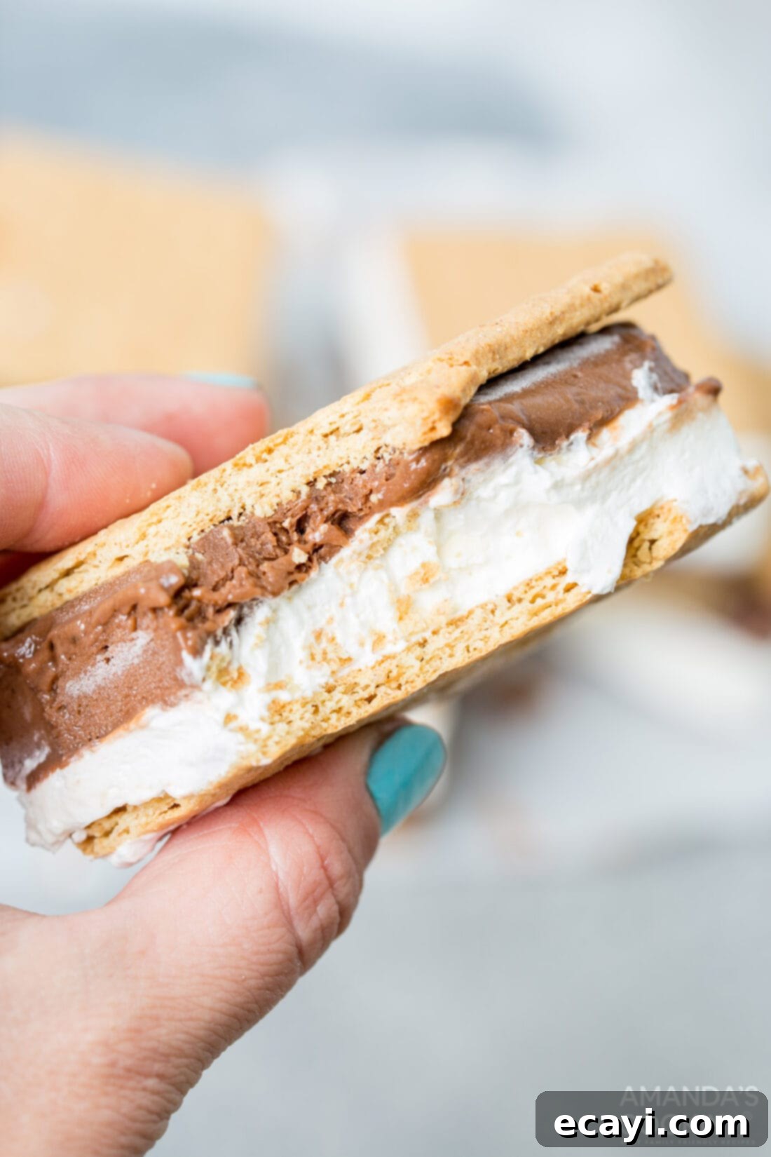 Frosty Smores 3 holding a frozen smores with a bite out of it
