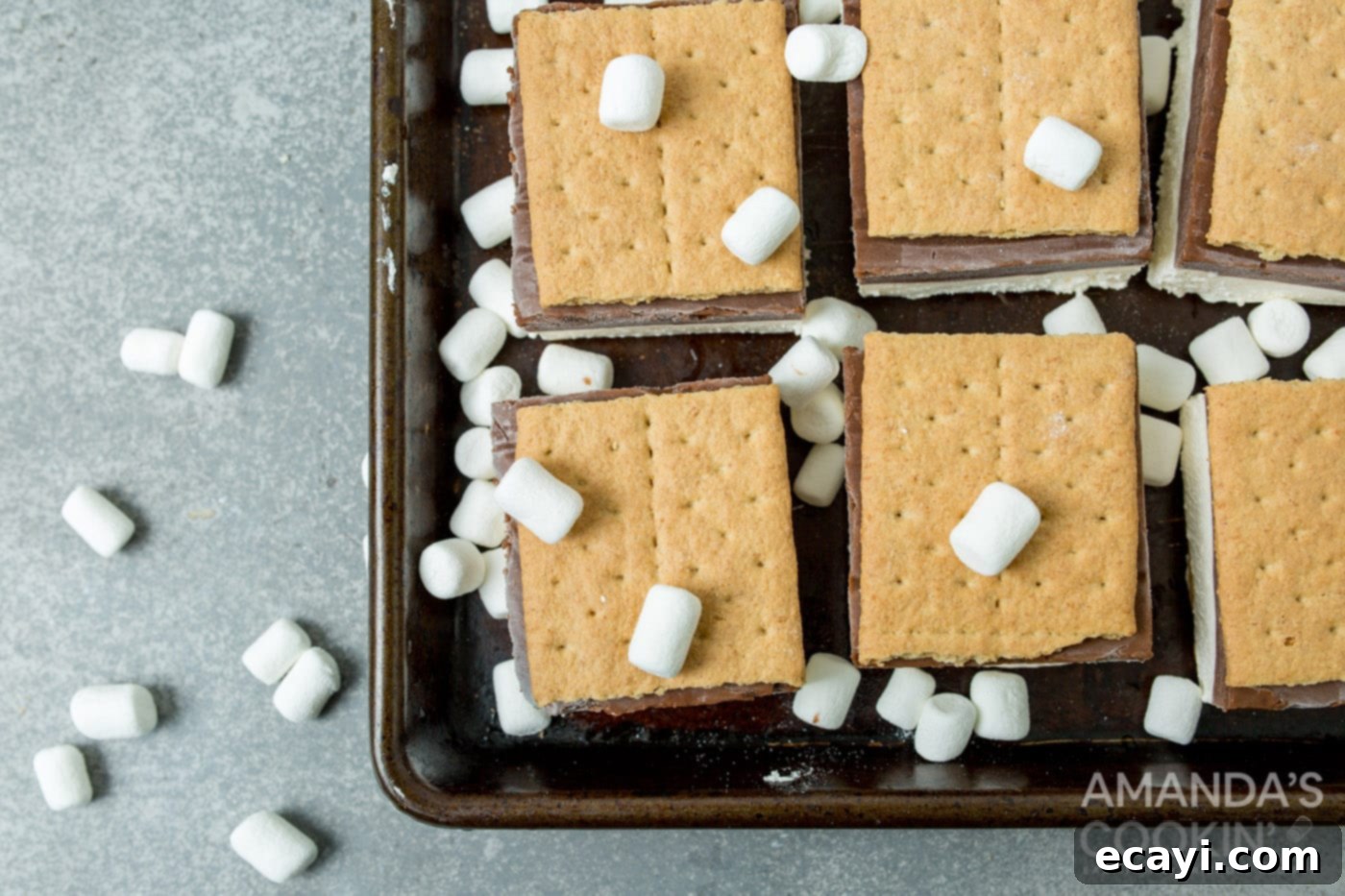 Frosty Smores 10 frozen smores with marshmallows