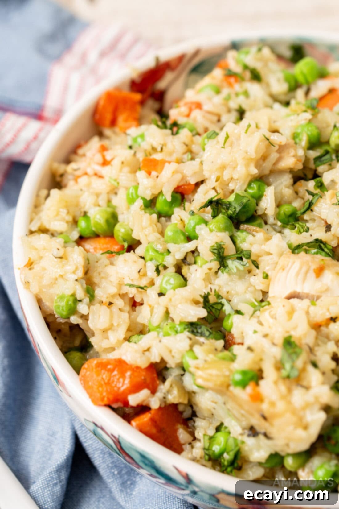 Effortless Instant Pot Chicken and Rice 3 A comforting bowl of Instant Pot chicken and rice, ready to be served