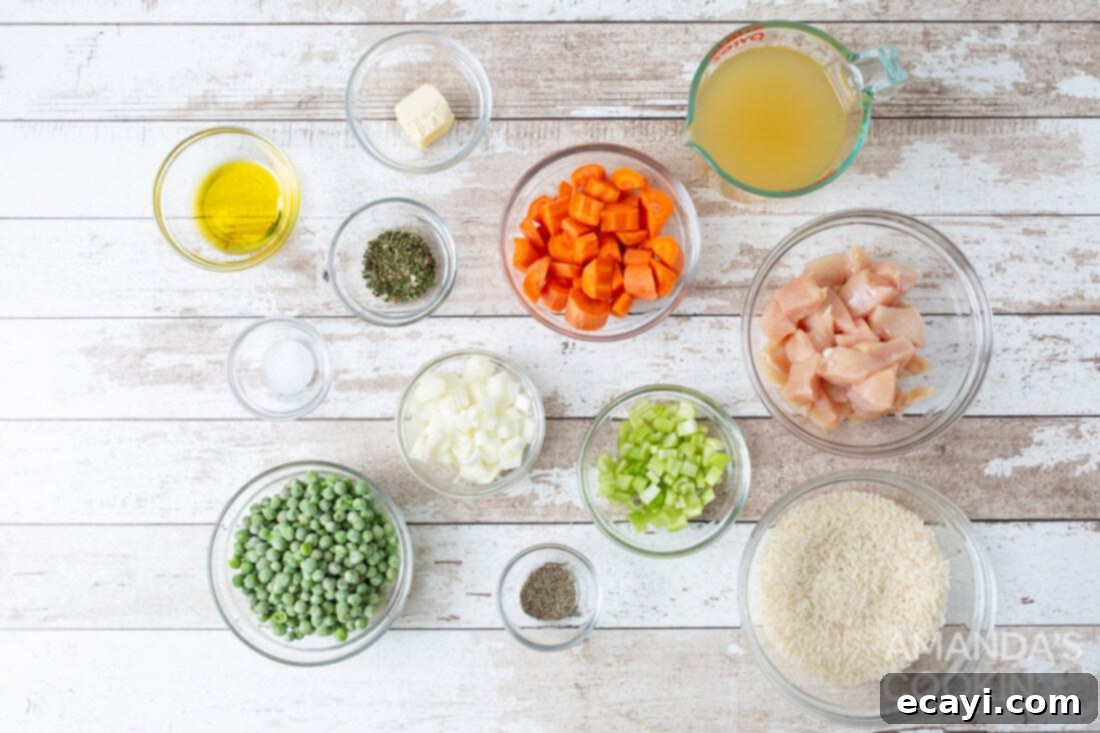 Effortless Instant Pot Chicken and Rice 4 Ingredients laid out for Instant Pot chicken and rice recipe: chicken, rice, vegetables, and seasonings