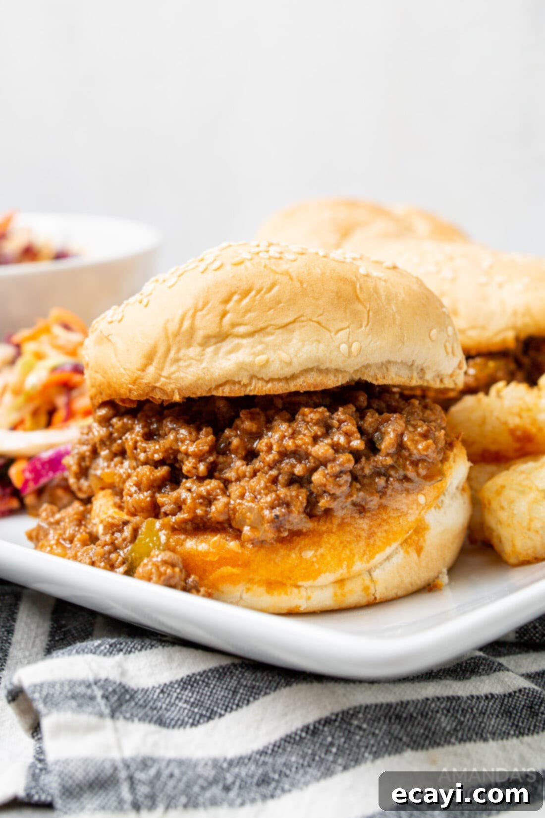 Instant Pot Sloppy Joes 2 sloppy joe sandwich made in an instant pot