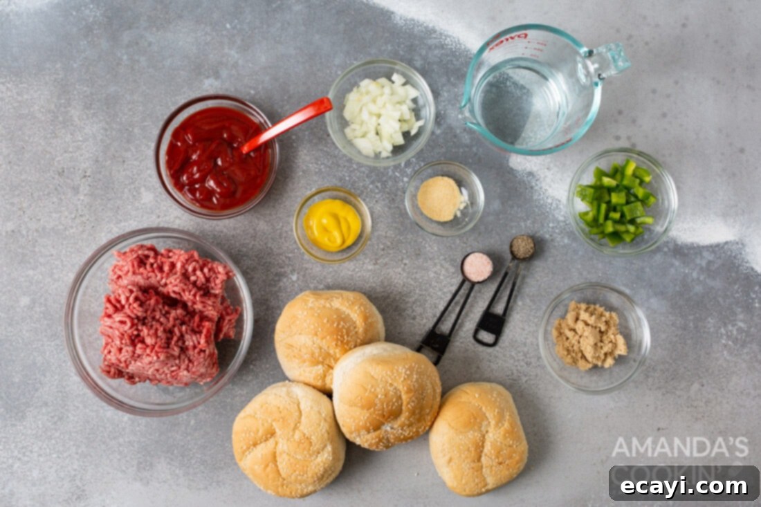 Instant Pot Sloppy Joes 4 ingredients needed to make Instant Pot Sloppy Joe