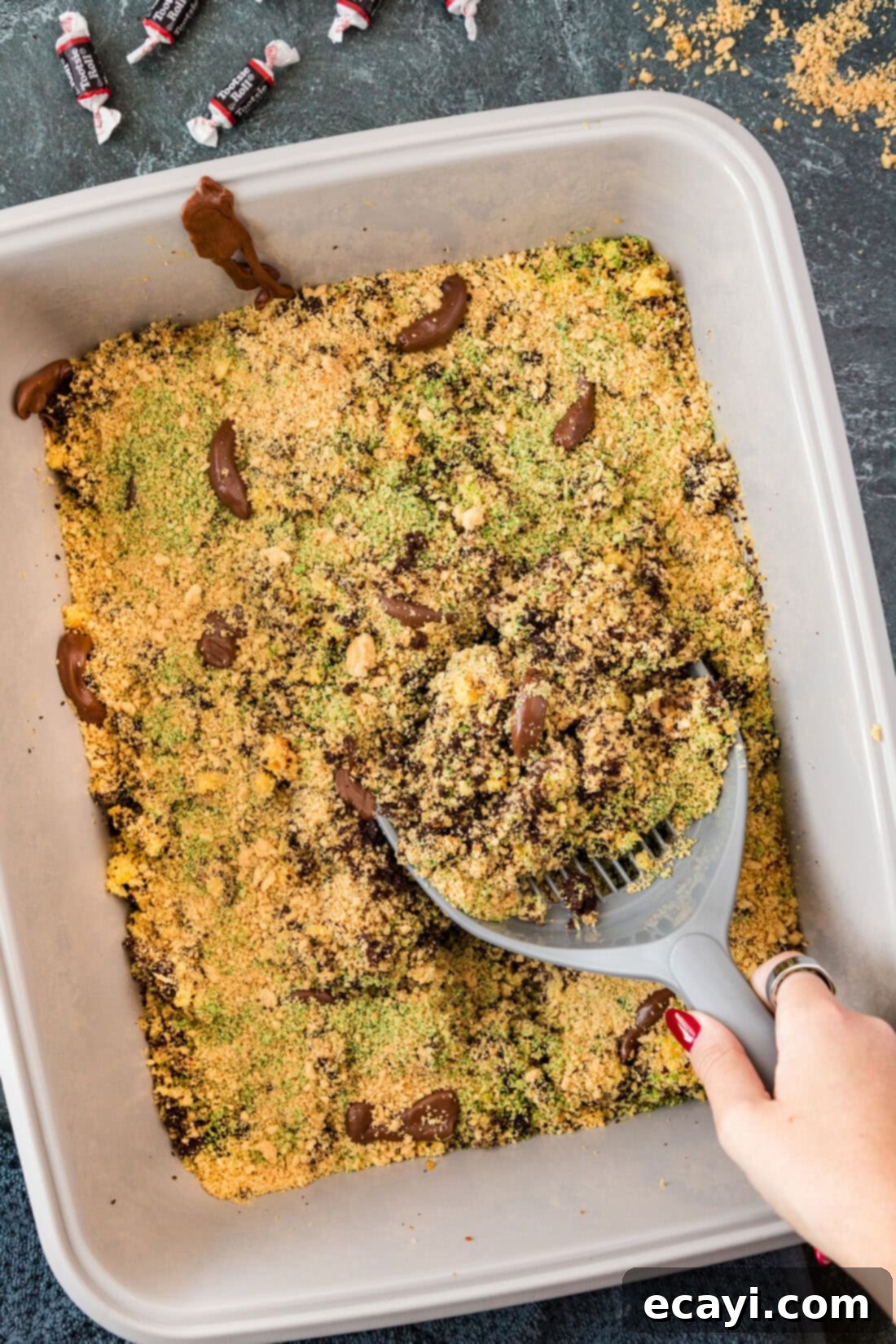 Litterally Delicious 2 Hand holding a litter scoop in a Kitty Litter Cake