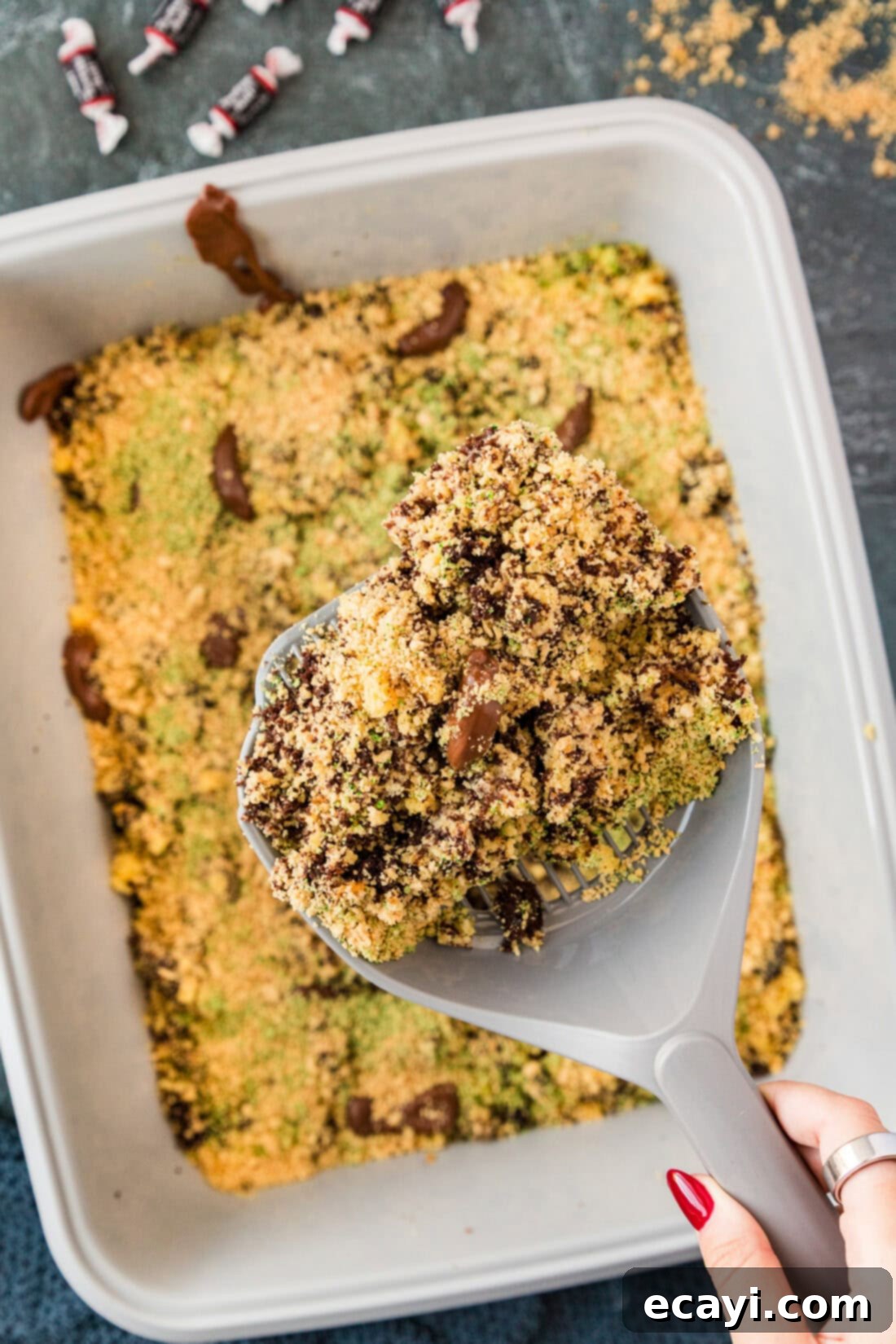 Litterally Delicious 14 Litter scooper of Kitty Litter Cake held above the cake