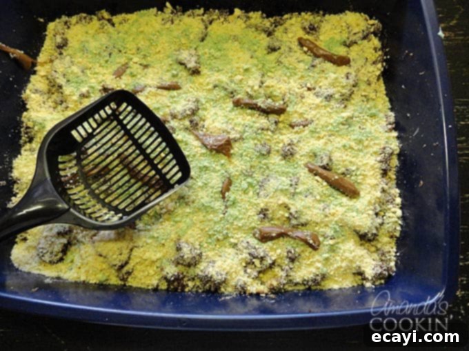 Litterally Delicious 16 An overhead photo of a kitty litter cake.