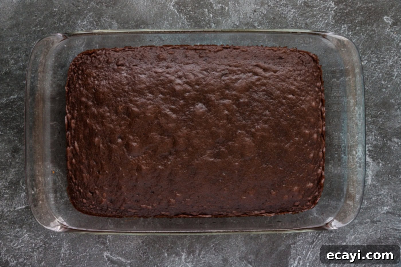 Litterally Delicious 6 baked chocolate cake in a dish