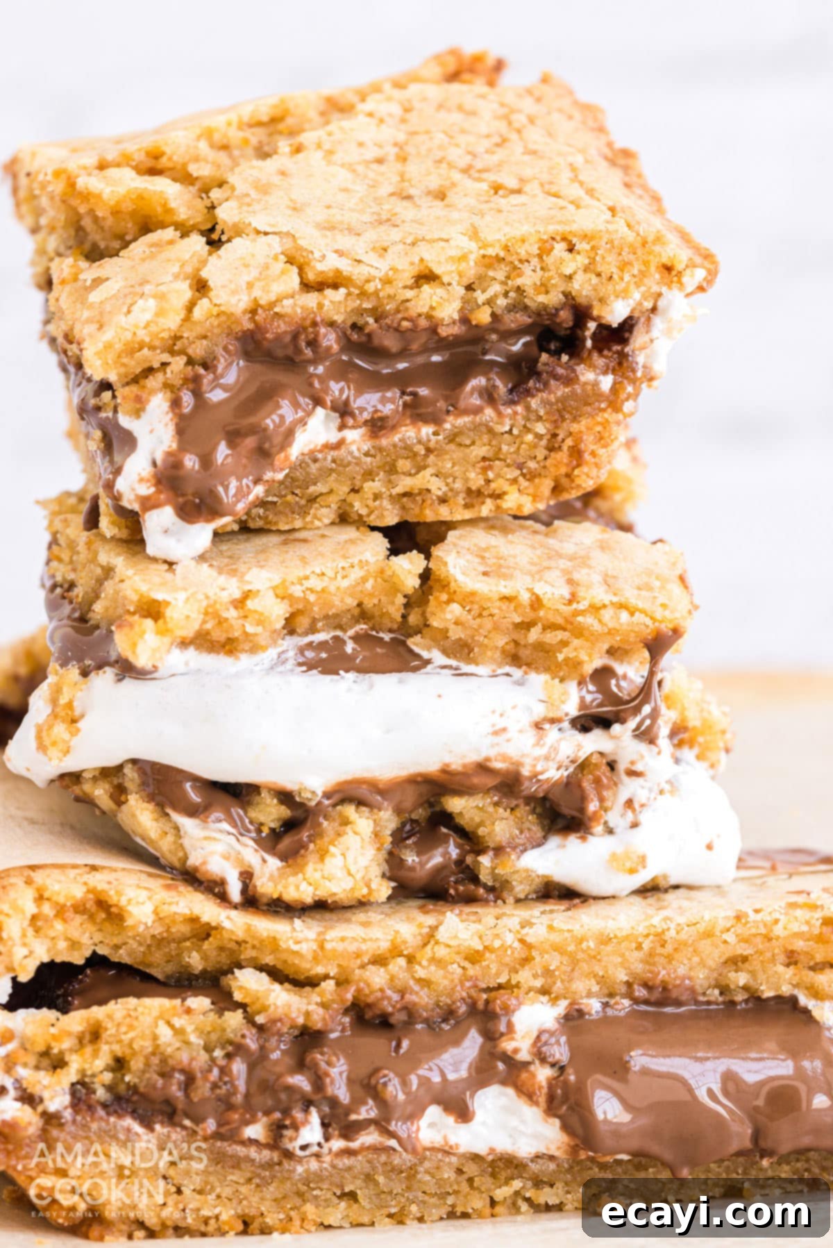 Ultimate Smores Bars 2 stacked smores bars