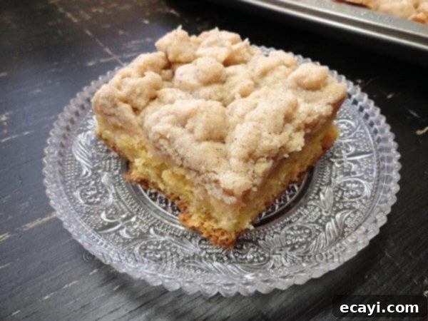 Perfect Crumb Cake Slice A close-up photo of a single, perfectly cut piece of homemade crumb cake, highlighting the contrast between the fluffy cake and the abundant, golden crumb topping.