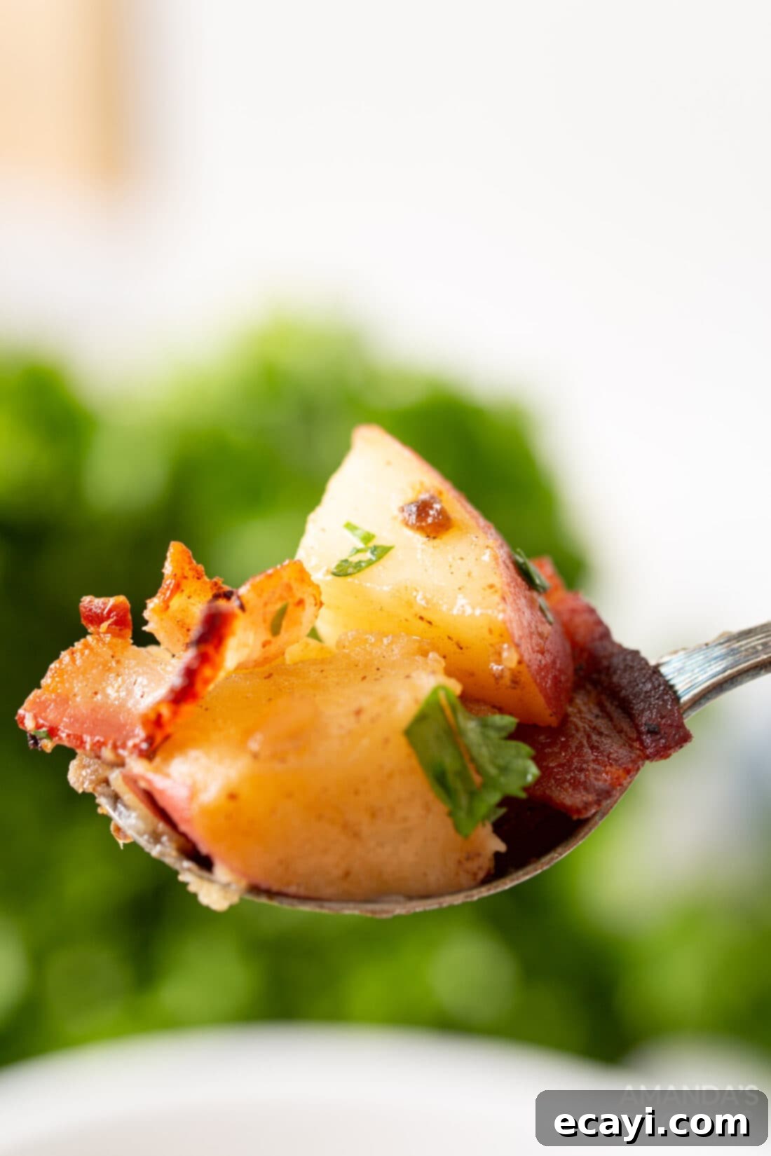 Savory German Potato Salad 5 spoon of German Potato Salad