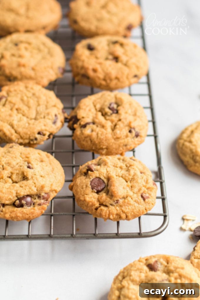 Creamy peanut butter and chew oats come together to make delicious Peanut Butter Oatmeal Chocolate Chip Cookies. People will be asking for this recipe! Warm, chewy peanut butter oatmeal chocolate chip cookies cooling on a wire rack, ready to be enjoyed.