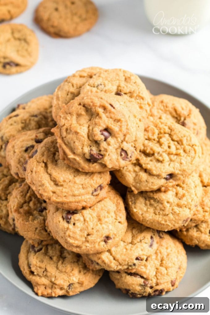 Creamy peanut butter and chew oats come together to make delicious Peanut Butter Oatmeal Chocolate Chip Cookies. People will be asking for this recipe! A vibrant plate filled with freshly baked Peanut Butter Oatmeal Chocolate Chip Cookies, showcasing their golden edges and melty chocolate chips.