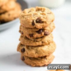 Nutty Oat Chocolate Chip Cookie Bliss 3 stack of Peanut Butter Oatmeal Chocolate Chip Cookies