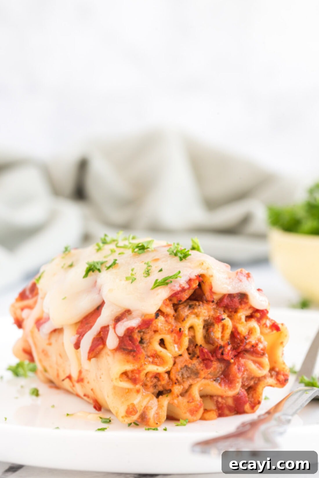 Lasagna Pinwheels 2 Lasagna Roll Up on a plate