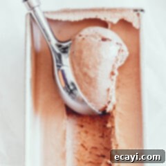Decadent No-Churn Chocolate Ice Cream 9 chocolate ice cream