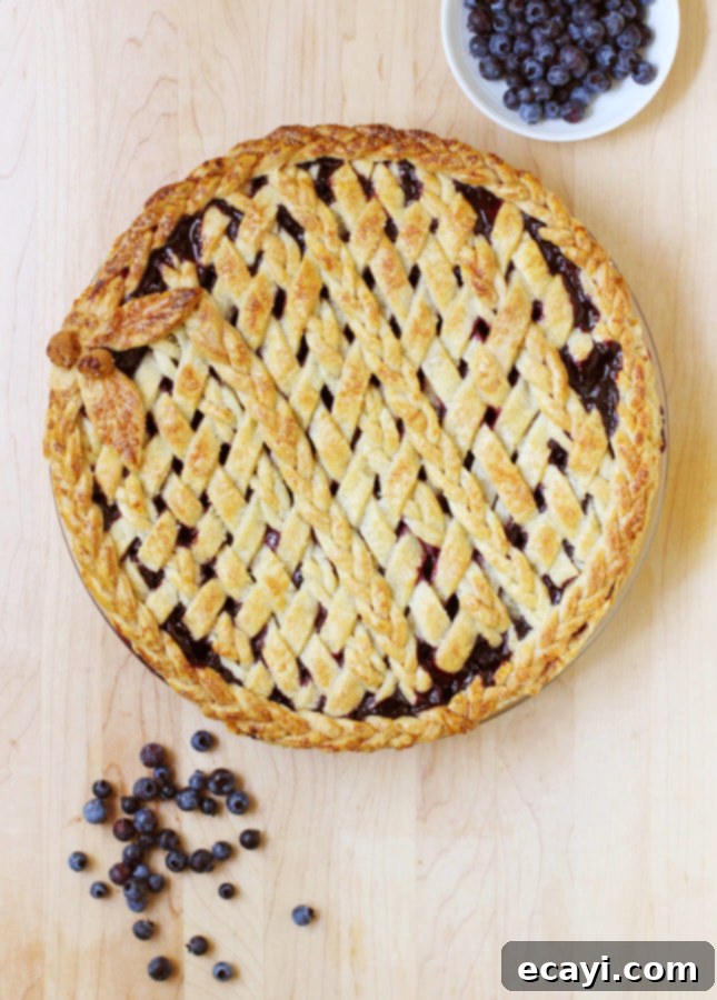 Wild Blueberry Weave Pie 4 Close-up of baked Lattice-Top Wild Blueberry Pie with golden crust and rich purple filling