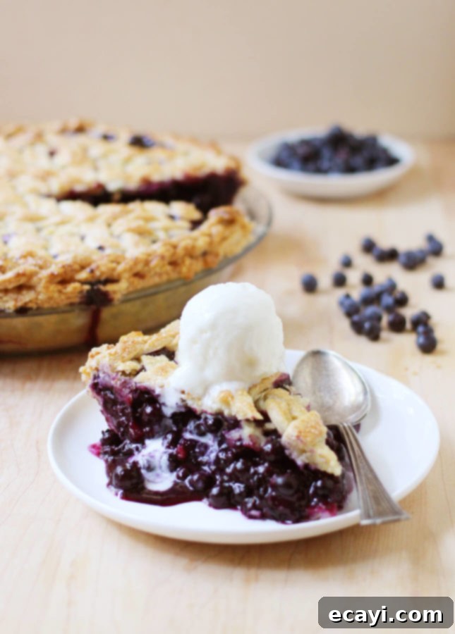 Wild Blueberry Weave Pie 5 Slice of Lattice-Top Wild Blueberry Pie on a plate, showing the juicy filling and flaky crust