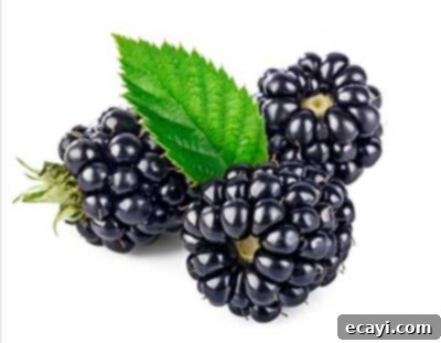 Superfruits: Nature's Nutritional Powerhouses 4 blackberries