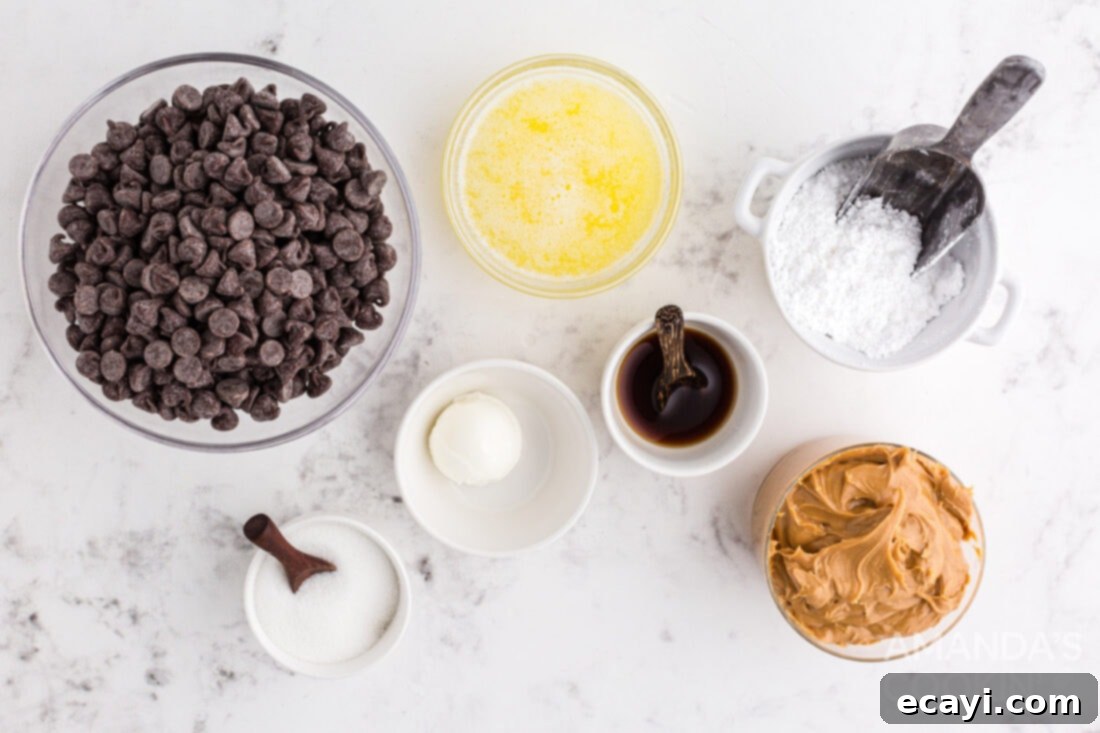 Peanut Butter Chocolate Delights 4 ingredients for Chocolate Peanut Butter Balls