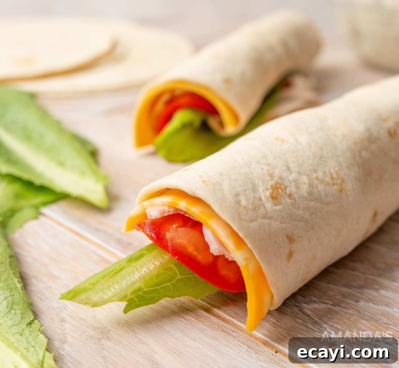 Swirl Sandwiches 10 Tortillas tightly rolled with layers of tomato, lettuce, meat, and cheese