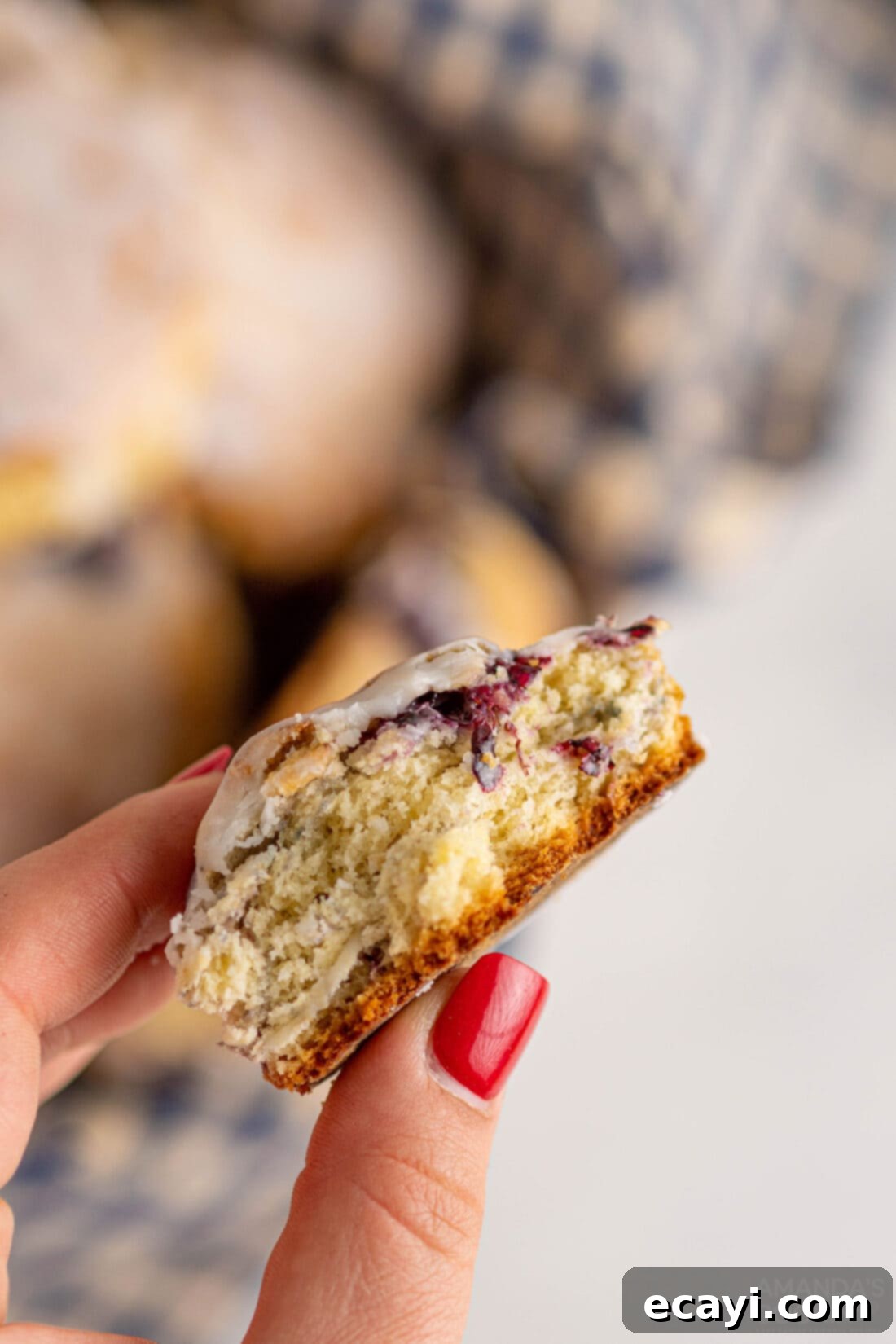 Fresh Blackberry Scones 3 hand holding a Blackberry Scone