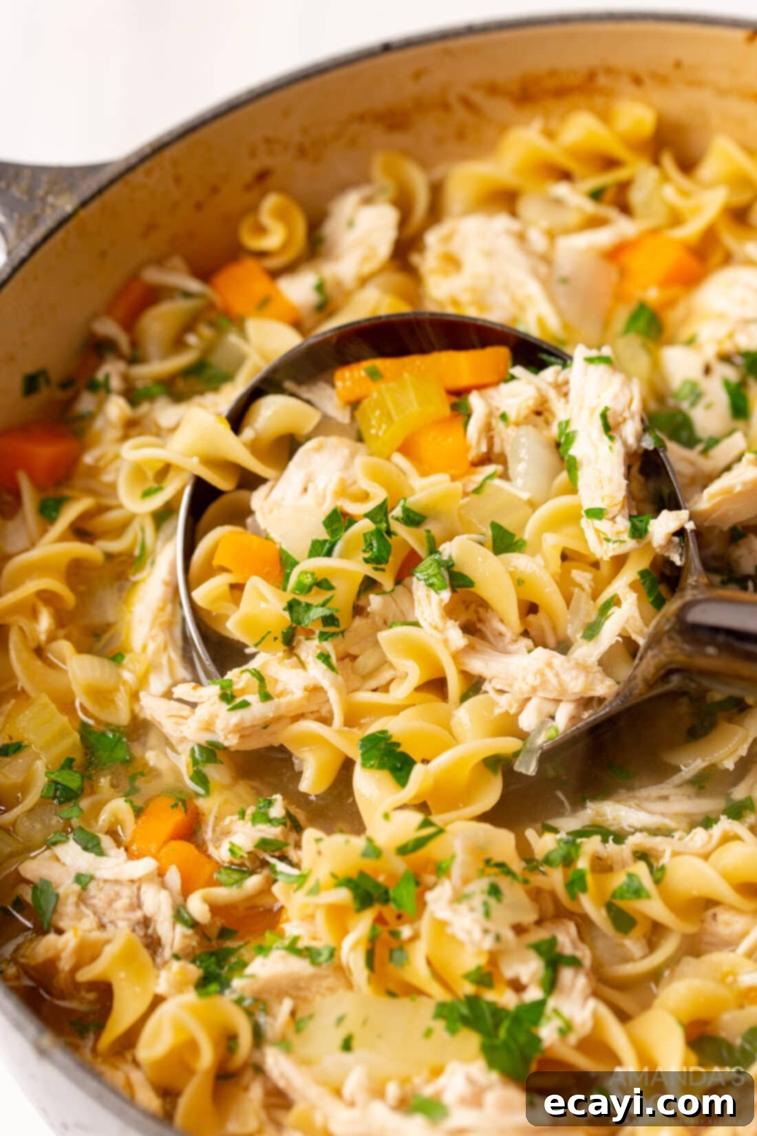 Golden Chicken Noodle Comfort 2 pot of Chicken Noodle Soup
