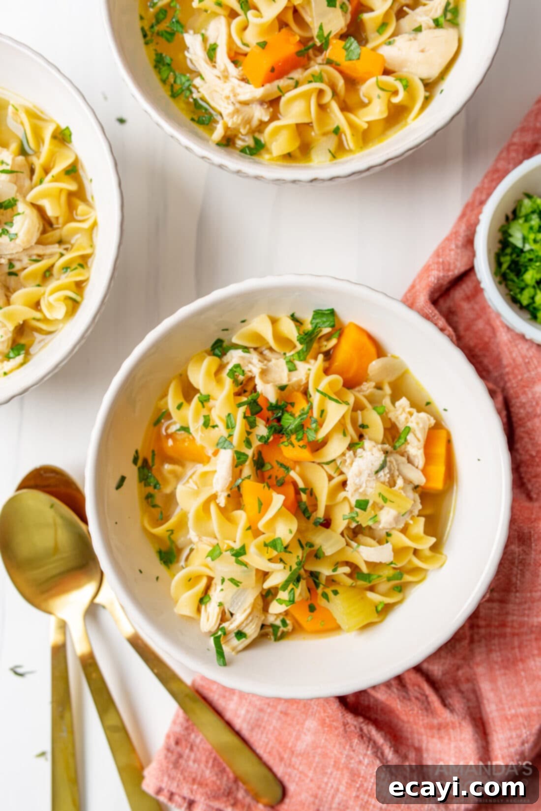 Golden Chicken Noodle Comfort 3 bowl of homemade Chicken Noodle Soup